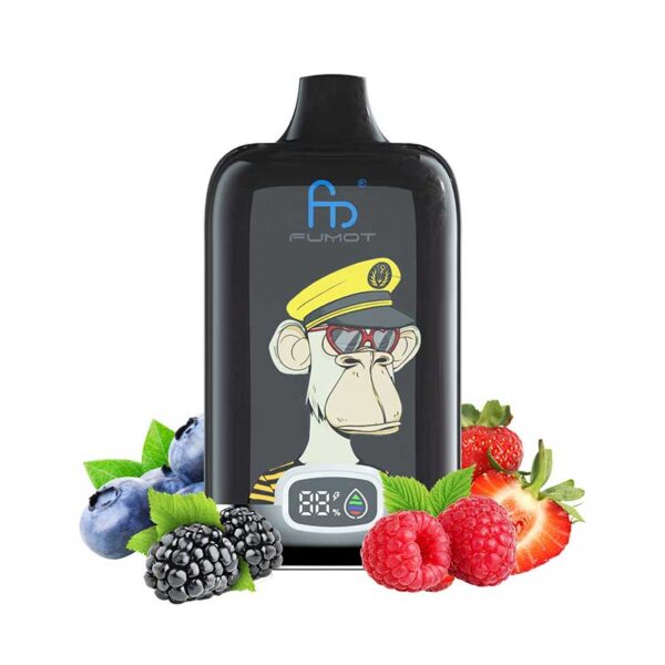 RAndM Digital Box 12000 Puffs – Bild 4