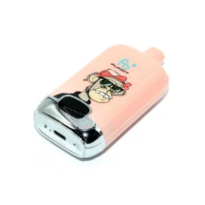 RAndM Digital Box 12000 Puffs